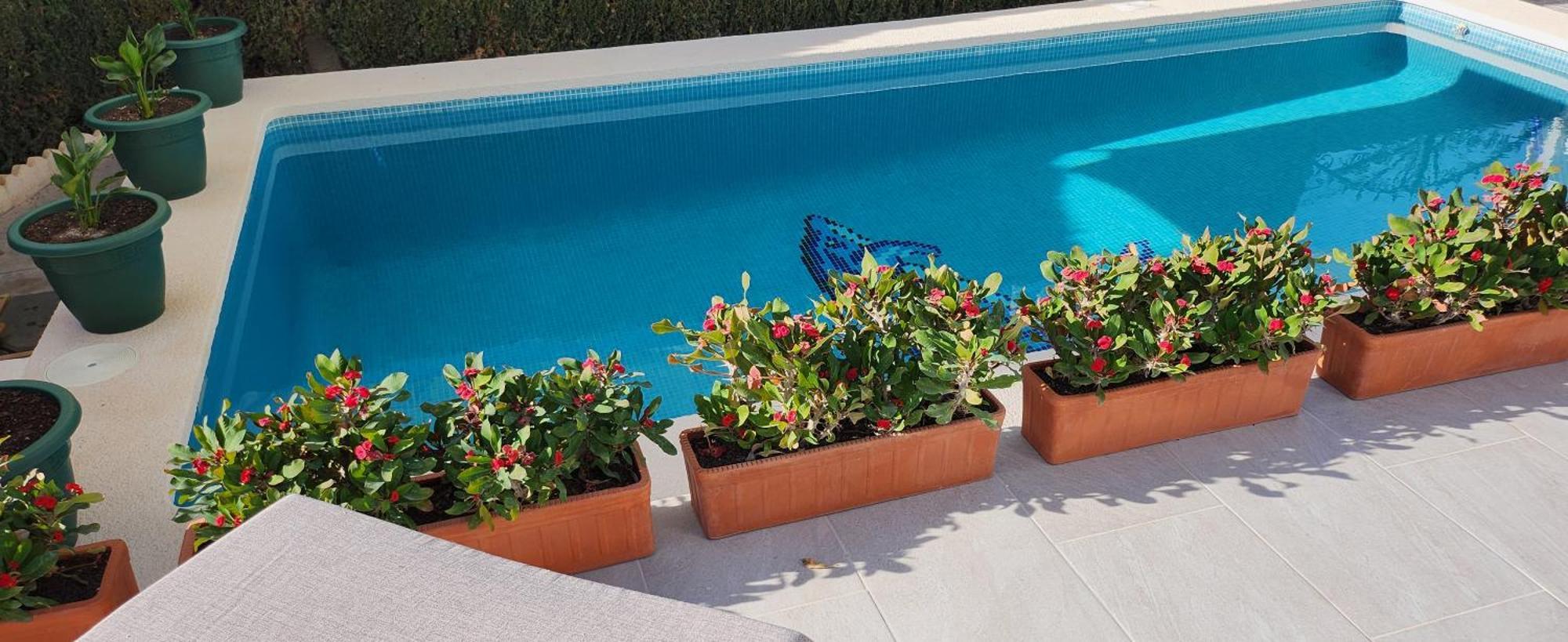 Las Mariposas San Fulgencio Exteriér fotografie